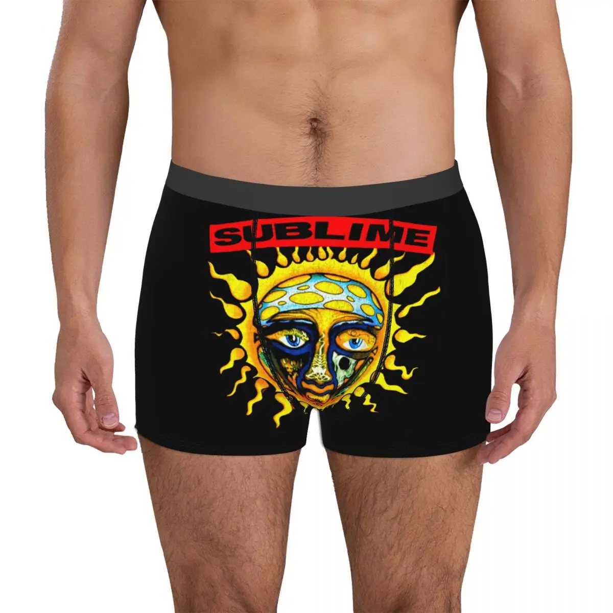 Sublime Band New Sun Concert Album 20 Men's Boxer Briefs Creative Sexy Smalls Funny Novelty Four Seasons Wearable