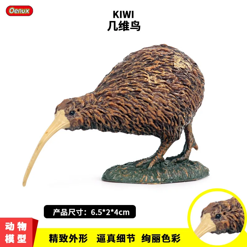 Children's solid bird simulation animal model toys, wild plastic animals, birds, kiwi ornaments