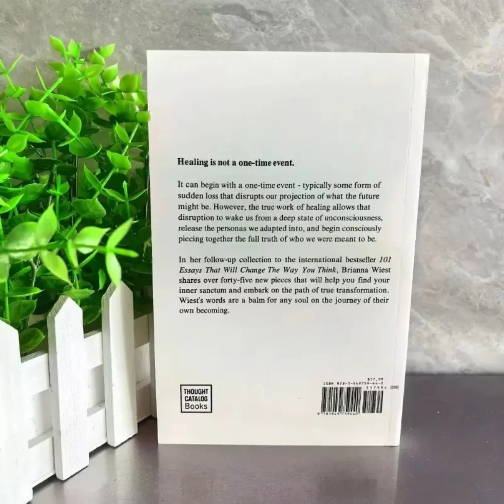 عندما تكون جاهزًا، هذه هي الطريقة التي شفافة الرواية الإنجليزية، السنة المحورية لـ Brianna Wiest English Paperback Book