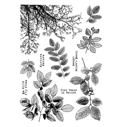 Leaf Clear Silicone Stamp/Seal for DIY scrapbooking/photo album Decorative clear stamp sheets A0459