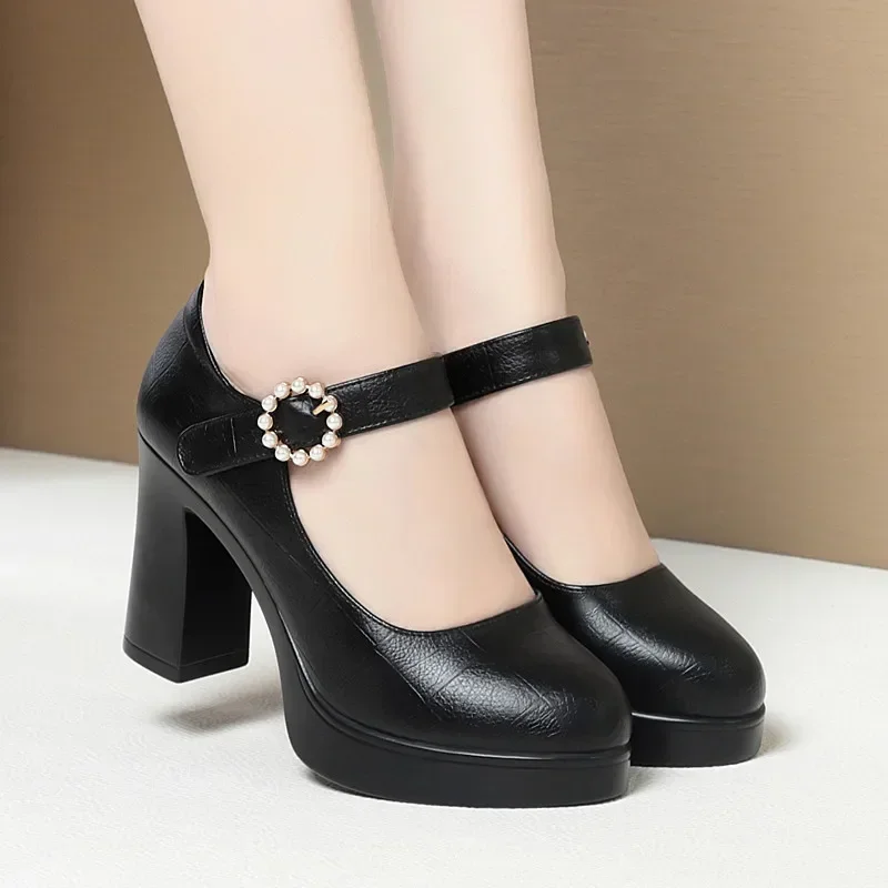 9cm Breathable Shallow Mouth Block High Heels Shoes 2024 Spring Soft Leather Mary Janes Platform Pumps Women Office Model Mom