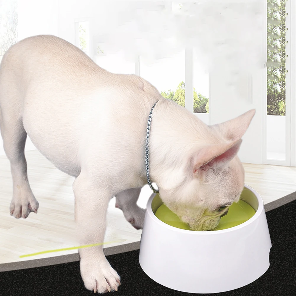 Pet Dog Cat Bowl Fl…