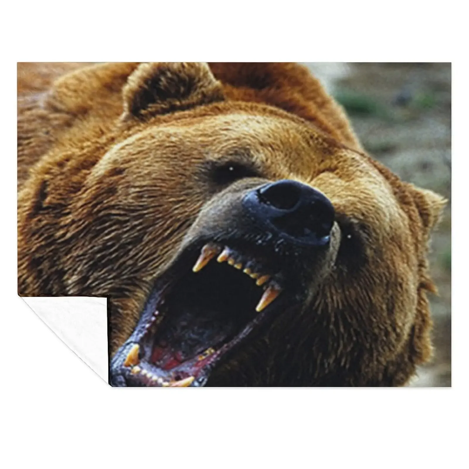 

Grizzly Bear a Throw Blanket blankets and throws Extra Large Throw Furrys Thin Blankets