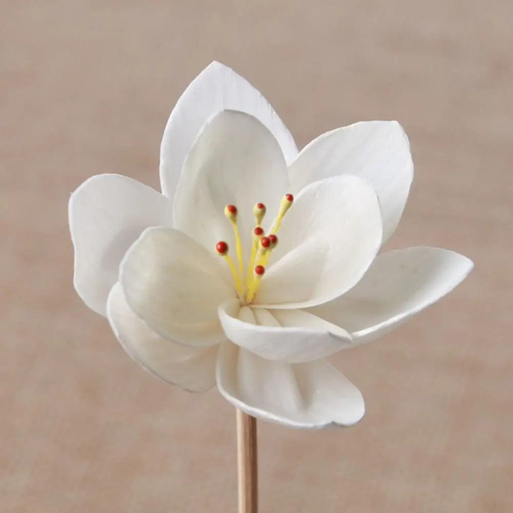 Dyeable Handmade Fragrance Volatile Living Room For Aromatherapy Diffuser Sticks Tongcao Flower Dried Flowers Aromatic Incense