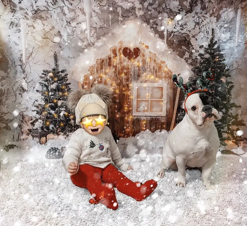 Laeacco зимние Рождественские фоны для фотосъемки снег деревянный дом куклы Рождественская елка внутренний фон для фотосъемки Фотостудия