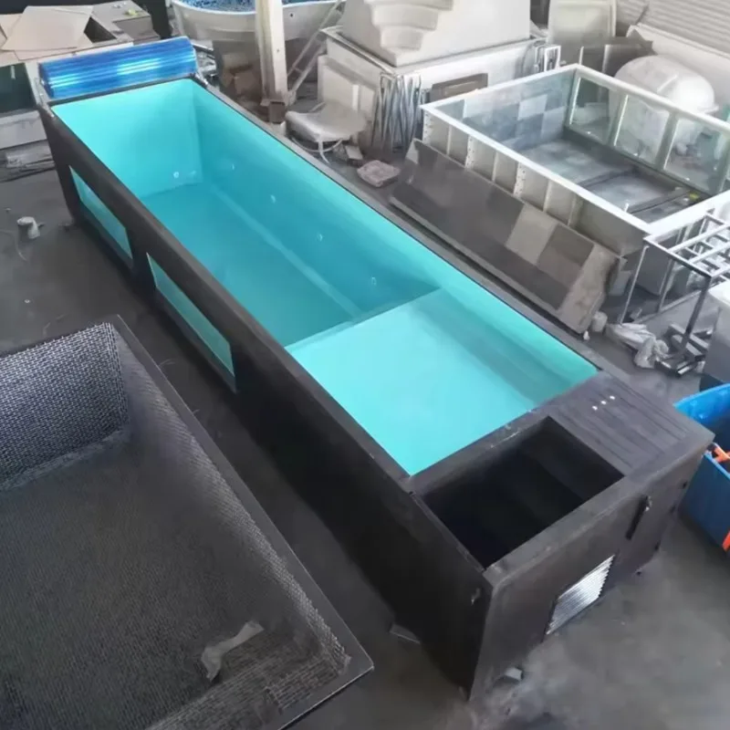 Customized Color Shipping Container Pool Modern Design Swimming Pool with Ladder for Home Villa Backyard Using