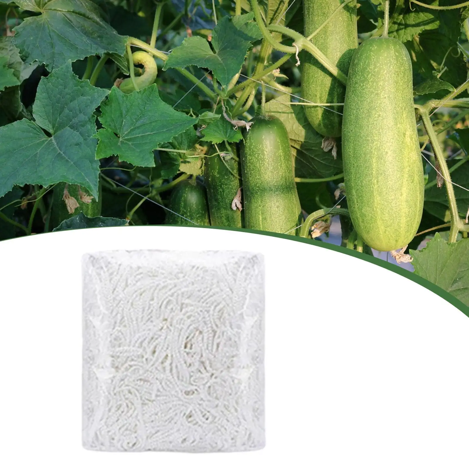 شبكة تعريشة النباتات، شبكة دعم نباتية للتسلق بطول 5 أمتار #4