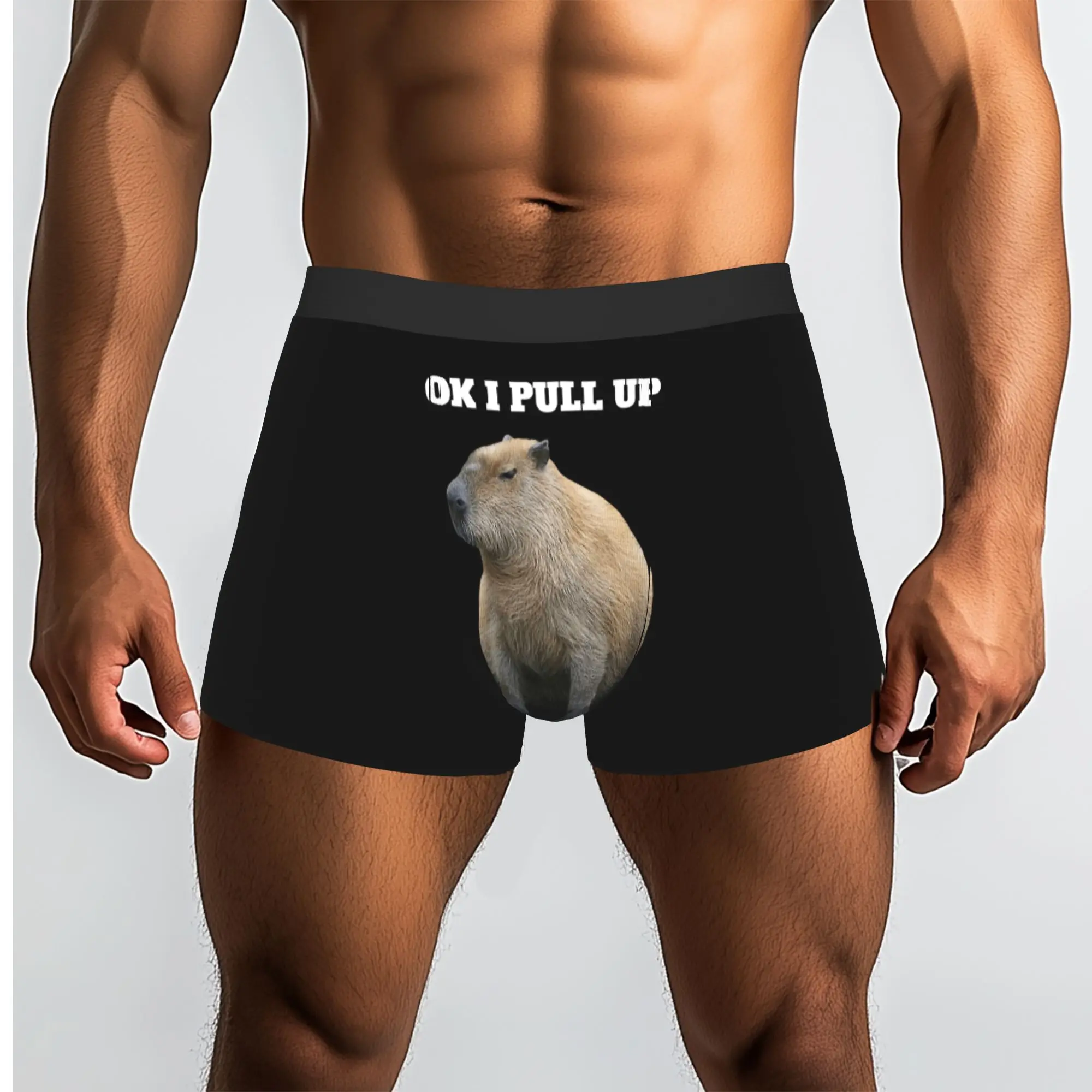 Custom Ok I Pull Up Capybara Boxers Shorts Men  Briefs Underwear Funny Underpants