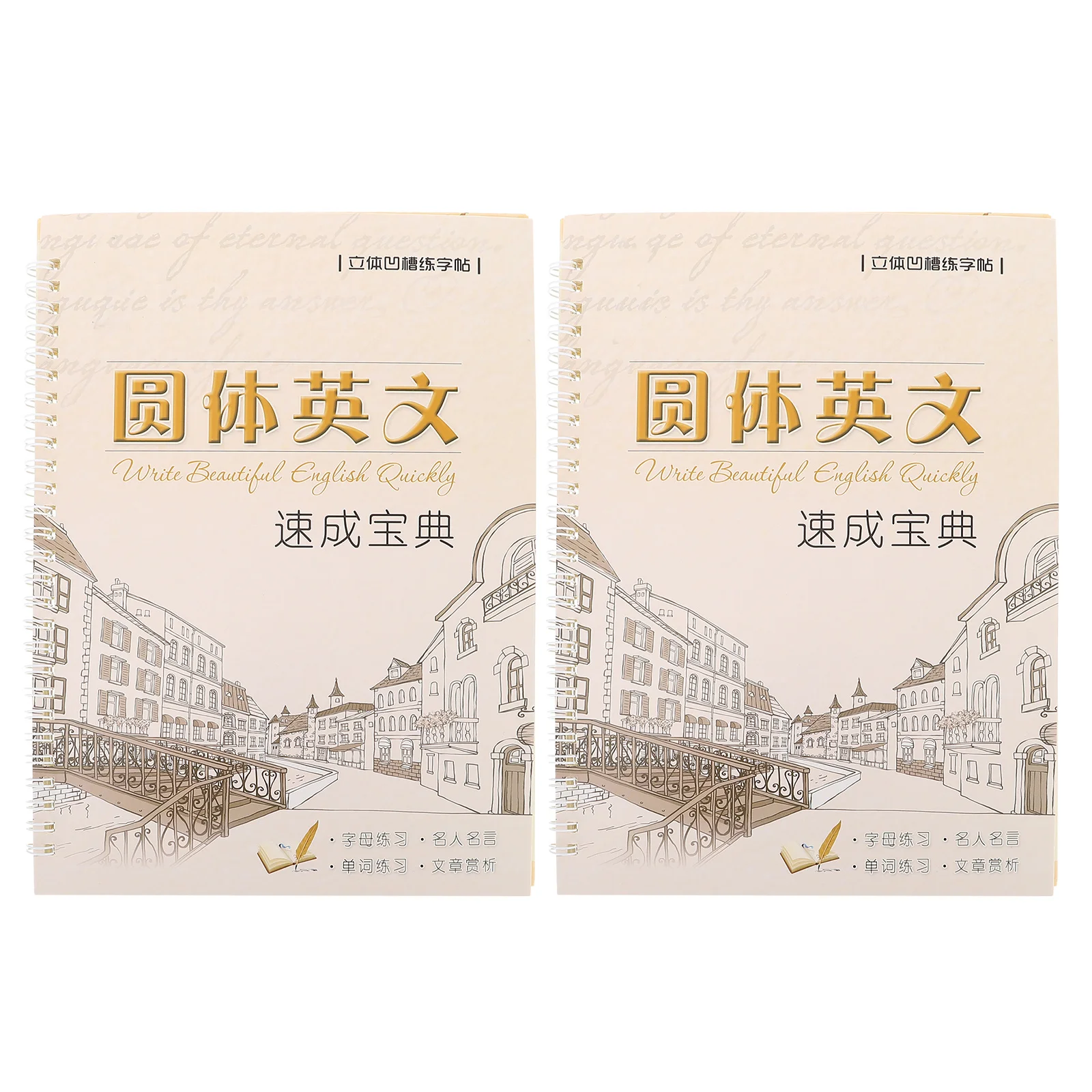 

2 Pcs Practice Book Reusable Handwriting English Letter Copperplate Italic Calligraphy Adults Word