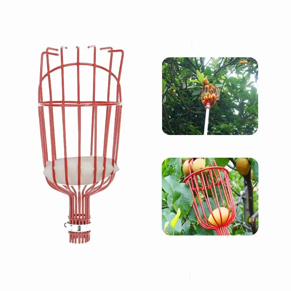 

Picking Farm Deep Basket Fruit Picker Head Portable Red Fruits Catcher Metal Garden Tool Garden Picking Device