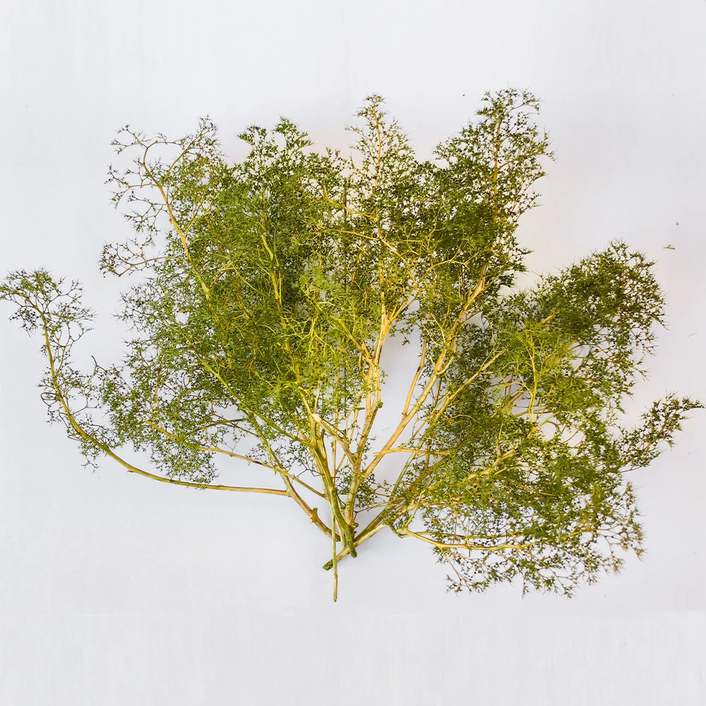 Árboles en miniatura, ramas de árboles realistas con forma de mar para hacer árboles Diy/paisaje de guerra/dioramas ferroviarios/paisaje/terren