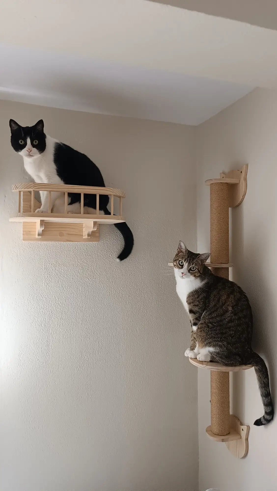 

Cat Tree Wall Mounted Cat Shelves Scratching Post for Cat Jumping Platform and Cat Hammock Rope Ladder Wall Wooden Furniture