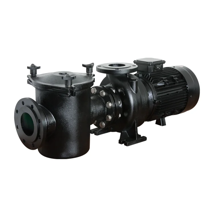 Bomba de piscina de agua autocebante de hierro fundido metálico