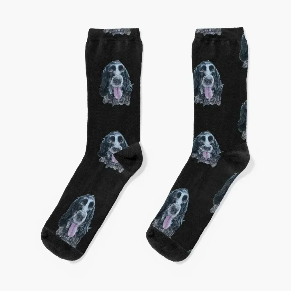 blue roan Cocker Spaniel Socks Men's Antiskid soccer with print Designer Man Socks Women's