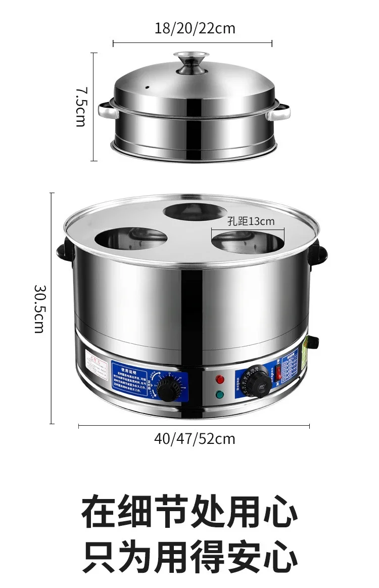 Cuiseur à Vapeur Électrique Professionnel, Multifonction