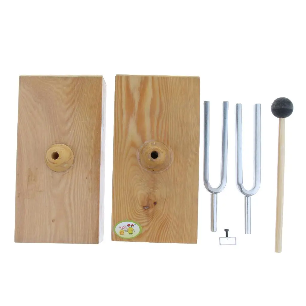 Resonant Tuning Fork on Wooden Box 440HZ Acoustic Science Tool for School Lab Teaching Physics Demo