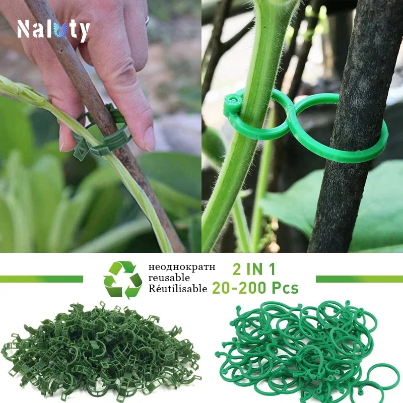 2 IN1 20-200pcs Plant Clips Vine Hold Clips Reusable Buckle Hook Supports Vine Connects for Vegetable Tomato Cucumber Grape