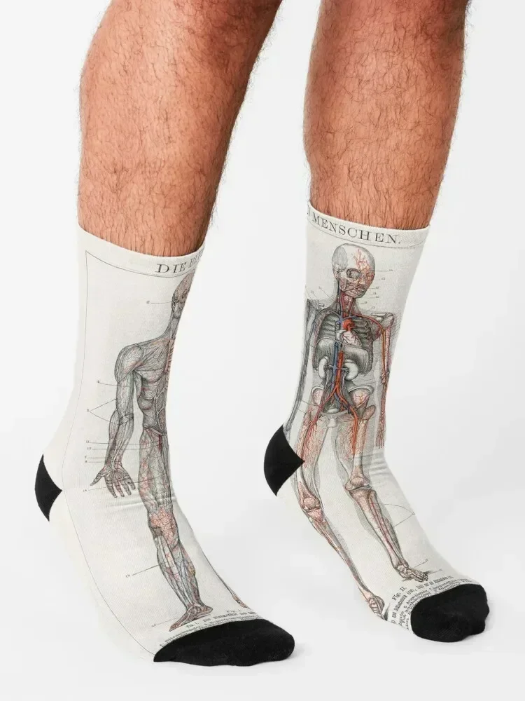 Casual look Socks Rugby basketball tennis cotton Socks Men's Women's