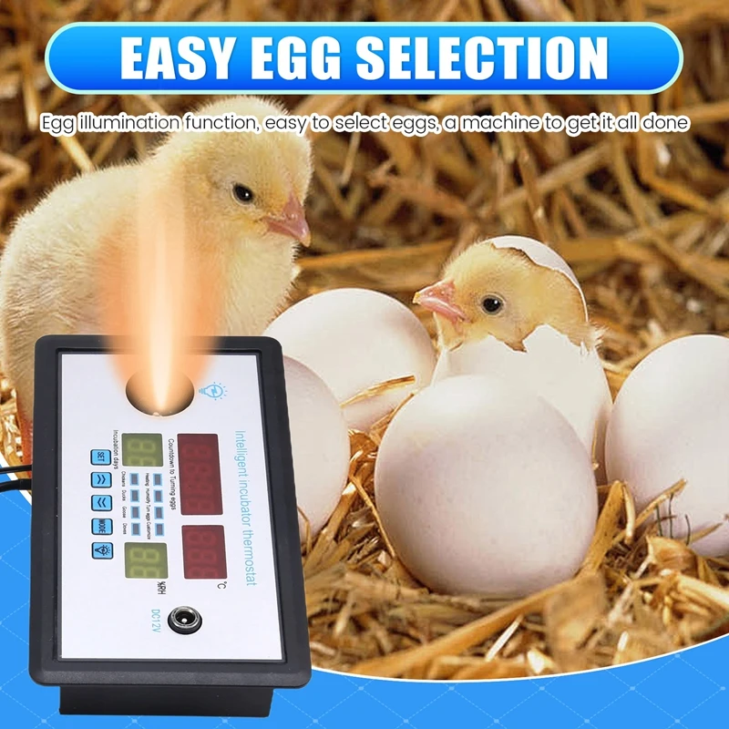 W9002 Termostato per incubazione intelligente con rotazione automatica delle uova DC12V Incubatrice per letti d'acqua domestici