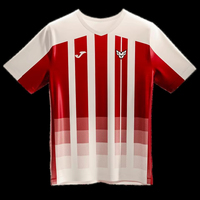 Norwegian Esports DOTA2 CS2 Team HEROIC 2023_2024 Jersey Game T-shirt Women Men 3D Printed Oversized Tops Kids Short Sleeve Tees