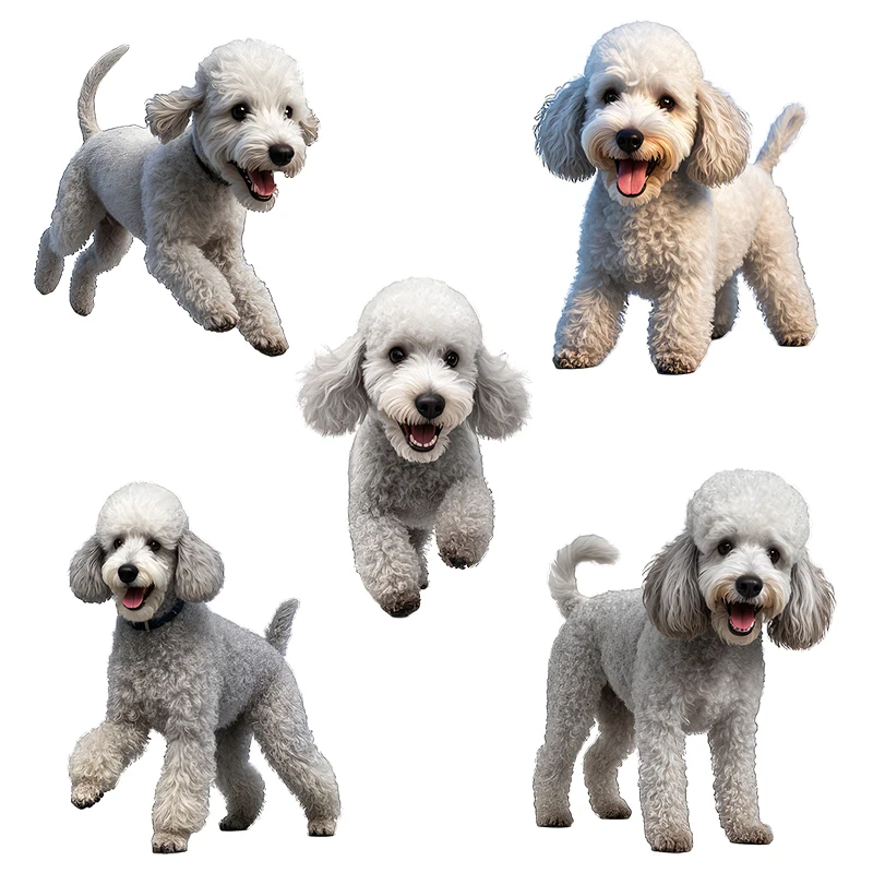 Three Ratels CG186 Lively Swiss Bernese Dog Animal Stickers for Home Decoration Waterproof Car decals