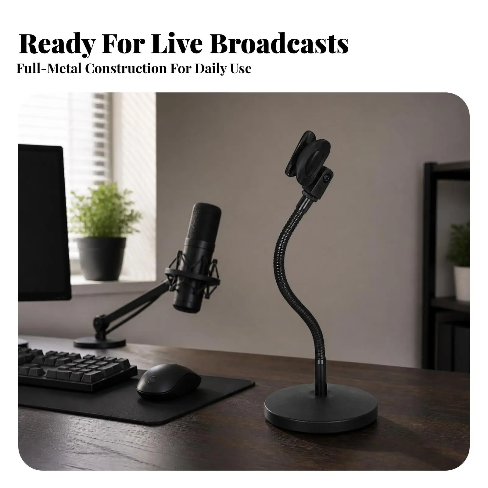 Desktop Mic Stand with Gooseneck Arm Space-Saving for Online Teachers