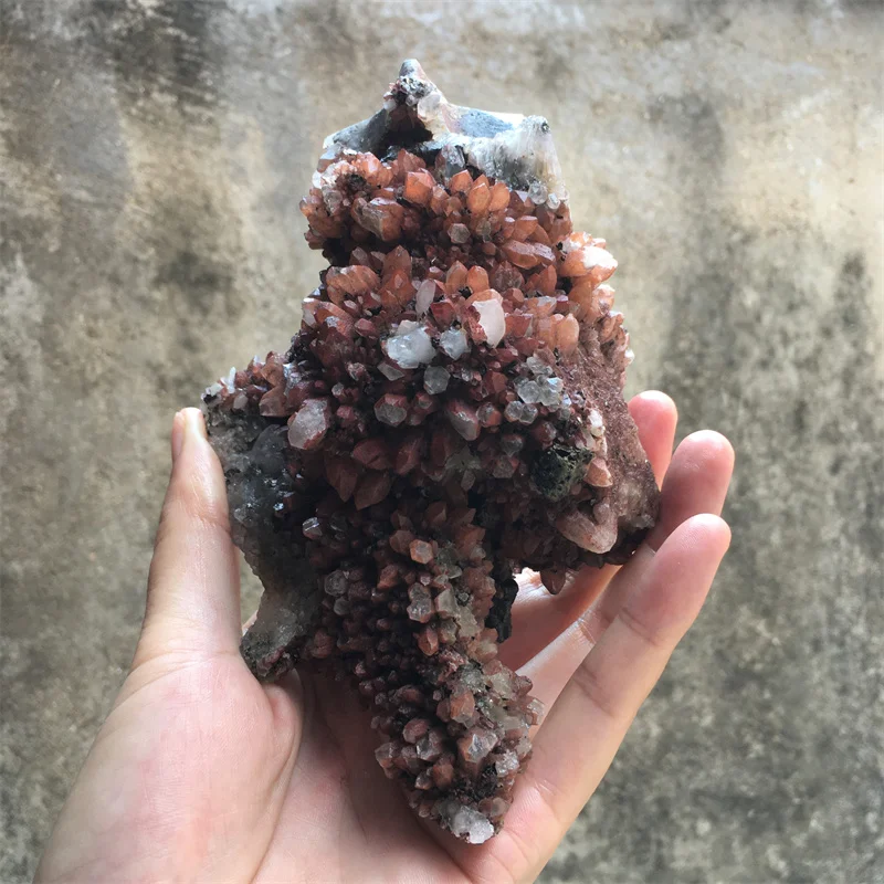 818g Rare Natural Red Crystal Quartz Pyrite Symbiotic Cluster Carved Skull Reiki Healing Energy Mineral Home Decor Collection