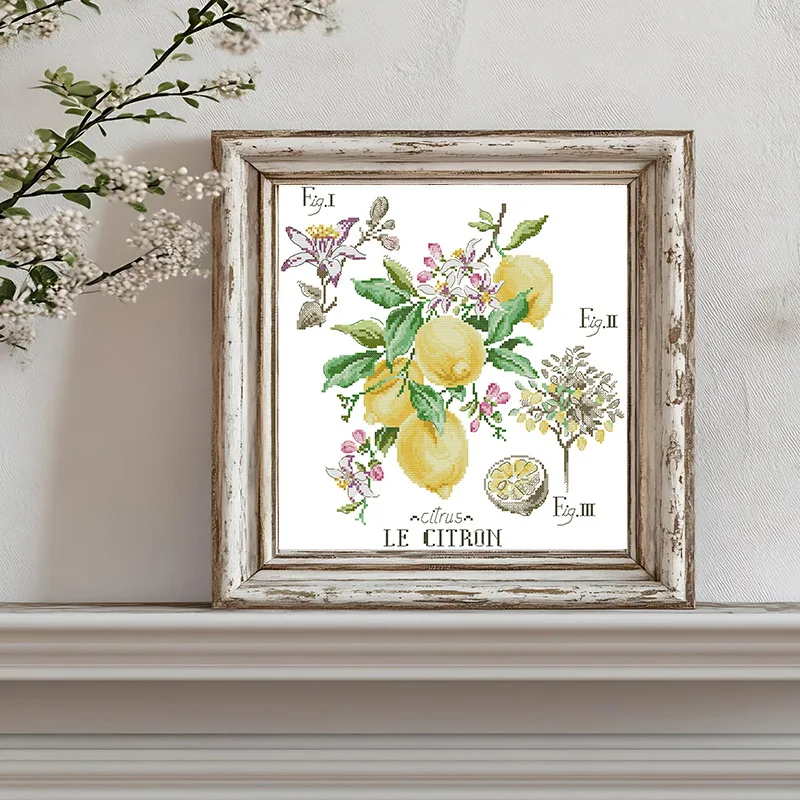 

Soulgift New Pre-Printed Cross Stitch Kit, Stamped 9CT/11CT/14CT/16CT DMC Threads,Embroidery Kit - Legend - Lemon