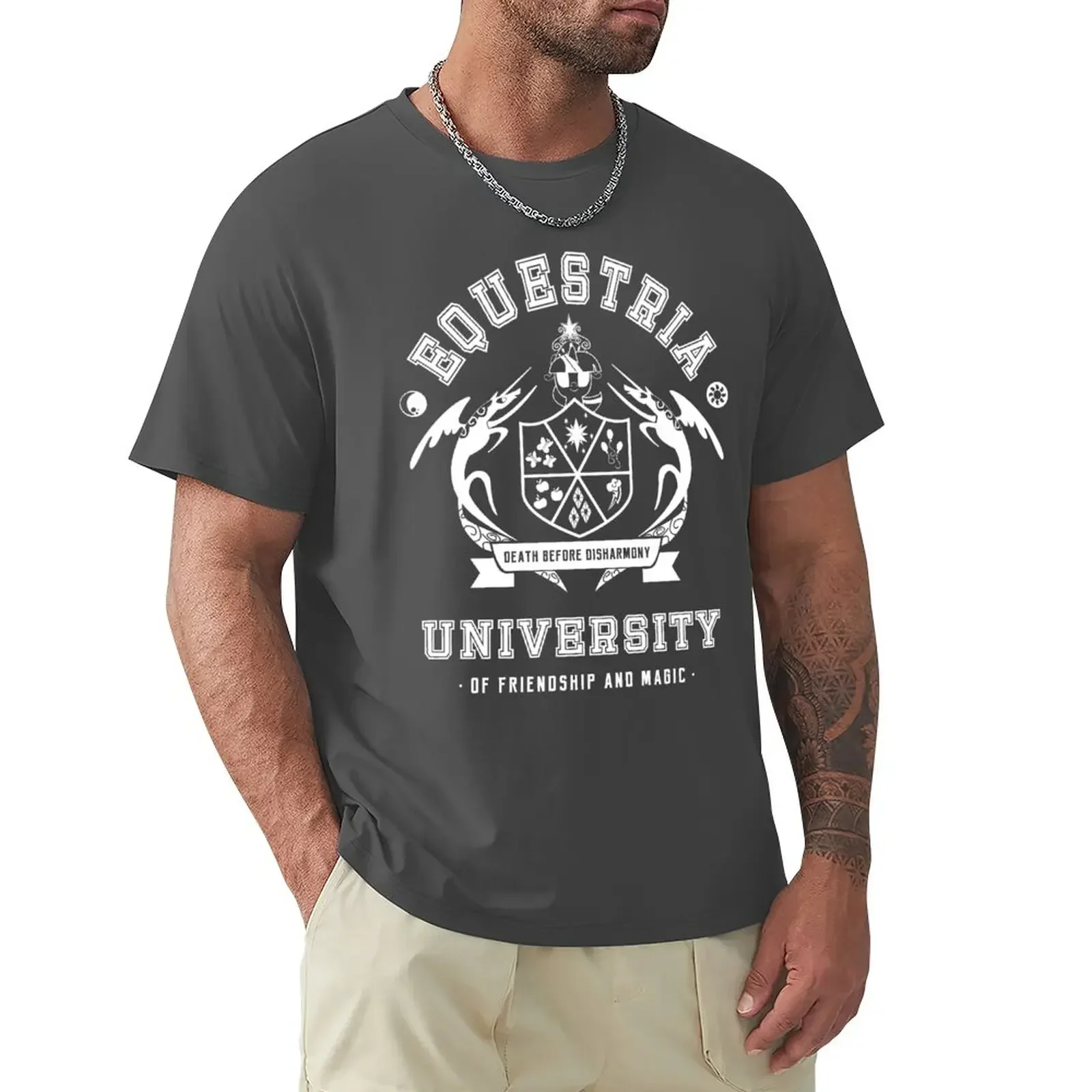 Equestria University T-Shirt heavyweights sports fans quick-drying t shirts for men graphic