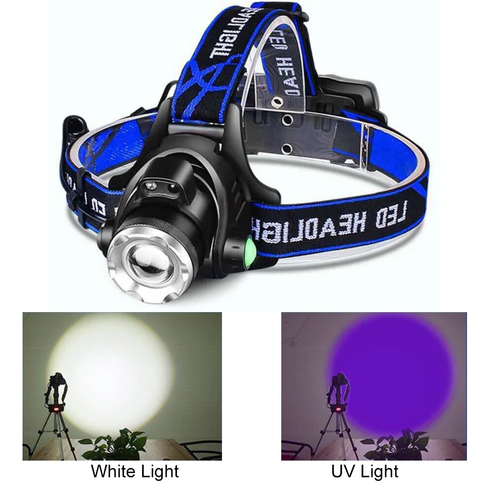 2 In 1 Witte Uv-Koplamp 395nm Uv-Zoombare Led-Koplamp Violet Lichtzaklamp 4 Modi Hoofdzaklamp Jagen Kamperen En Klimmen