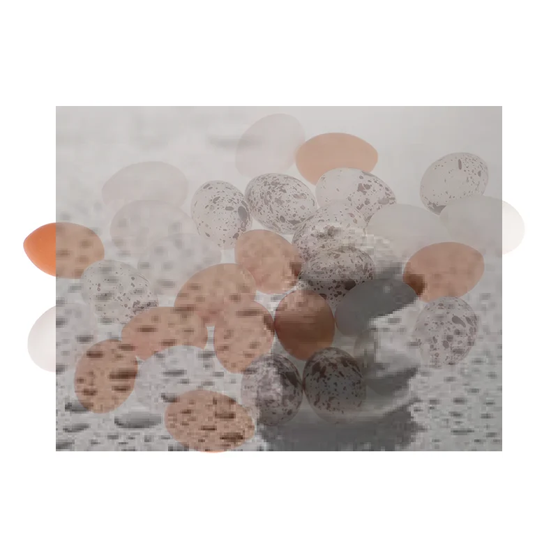 

**10pcs new Dollhouse Miniature Simulation Eggs Food Model Pretend Play Kitchen Toys"