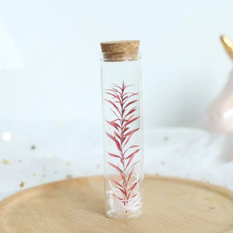 Mini bouteille de Press avec tube à essai en verre, fleur séchée, rose, gypsophile importale, compagnon créatif, cadeau de la journée de Léon, fleur Sechee