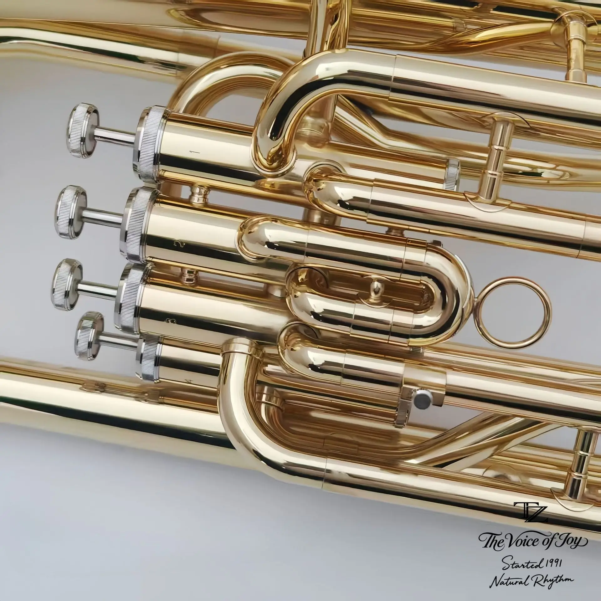 Professional Performance Gold B-flat Minor  Four Keys Euphonium Wind Instrument