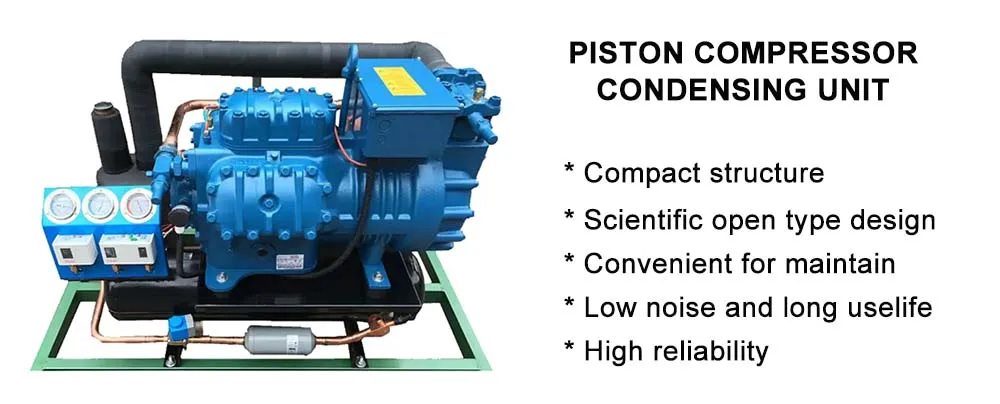 Industrial Refrigeration Unit R600 Piston Type Compressor Air-cooled Condensing Unit of Frascold for Freezing Room Long Time Use