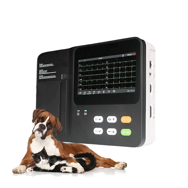 Pet Synchronous ECG Acquisition Dog, Three Channel Holder Ecg for Vet Animal Pet Hospital Veterinary Ecg Machine