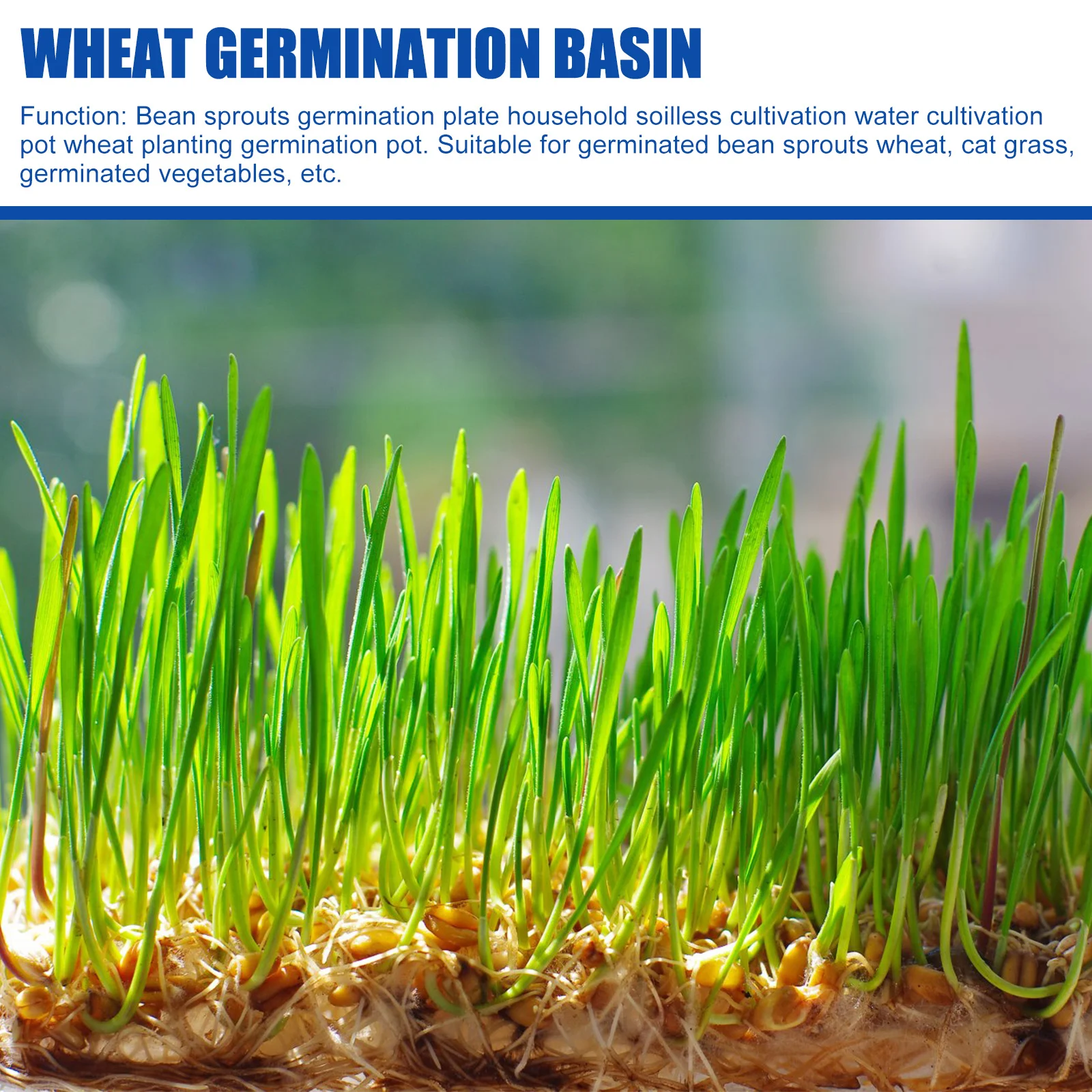 

Plastic Germination Tray with Multi-Cell Design Hydroponic Sprouting Kit for Wheatgrass Microgreens and Bean Sprouts Reusable