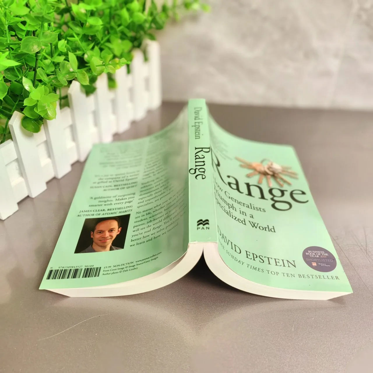 Bereik: hoe algemenaars triomf in een gespecialiseerde wereld