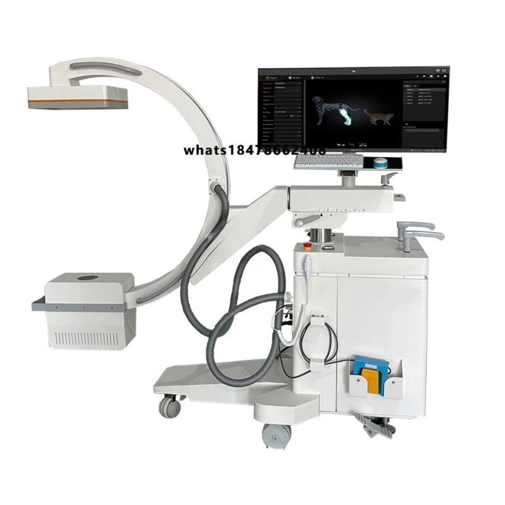 European veterinary multi-function veterinary x-ray machine best-selling pet hospital c-arm x-ray system veterinary equipment