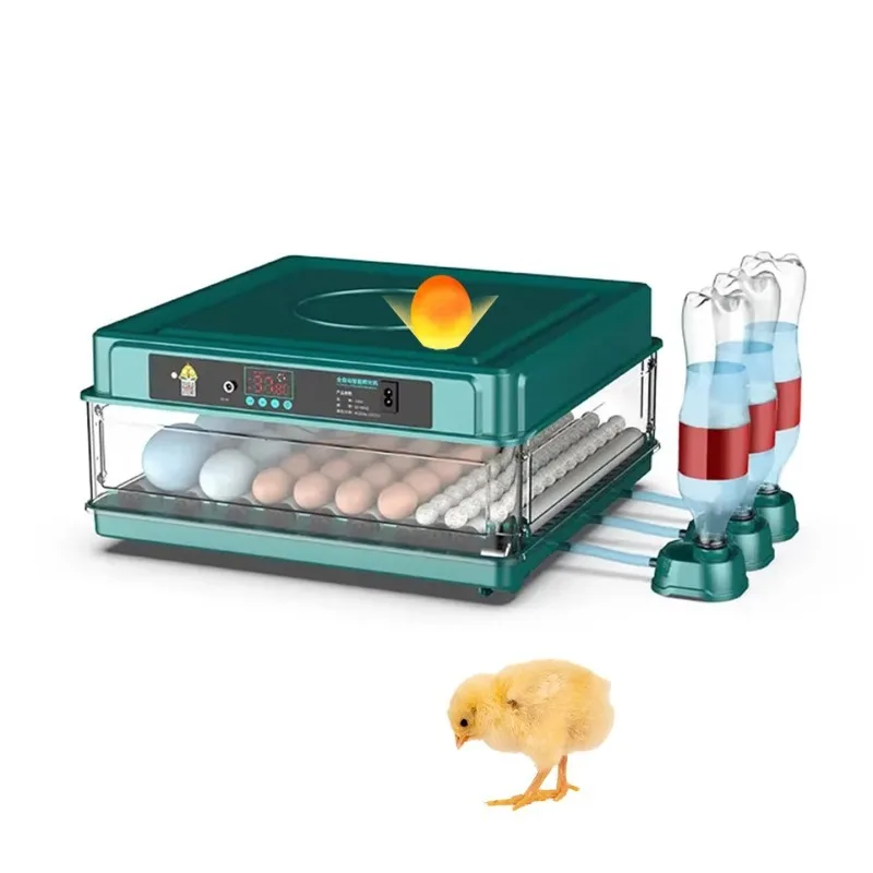48 Egg Fully Automatic Hatching Incubator Machine for Chicken Quail Duck Goose Pigeon - Adjustable 220V/110V/12V Voltage