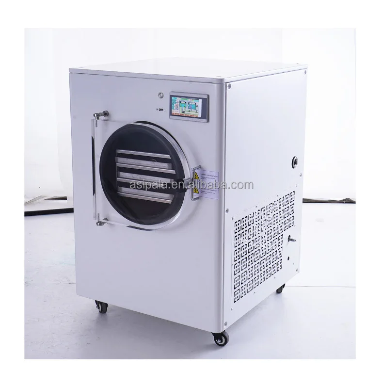 Simple Affordable Price Seafood Shrimp Prawn Crayfish Krill Tuna Oyster Lyophilizer Food Dryer Home Vacuum Freeze Dryer