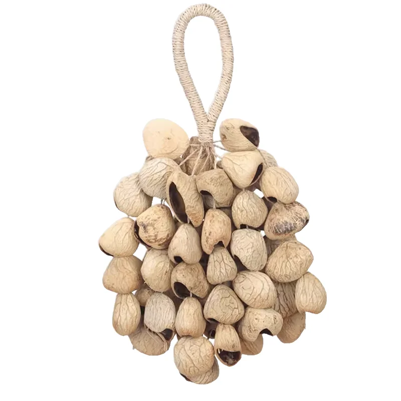 

Fruit rattle, sound therapy nut shell bell, meditation sleep aid, nut handbell