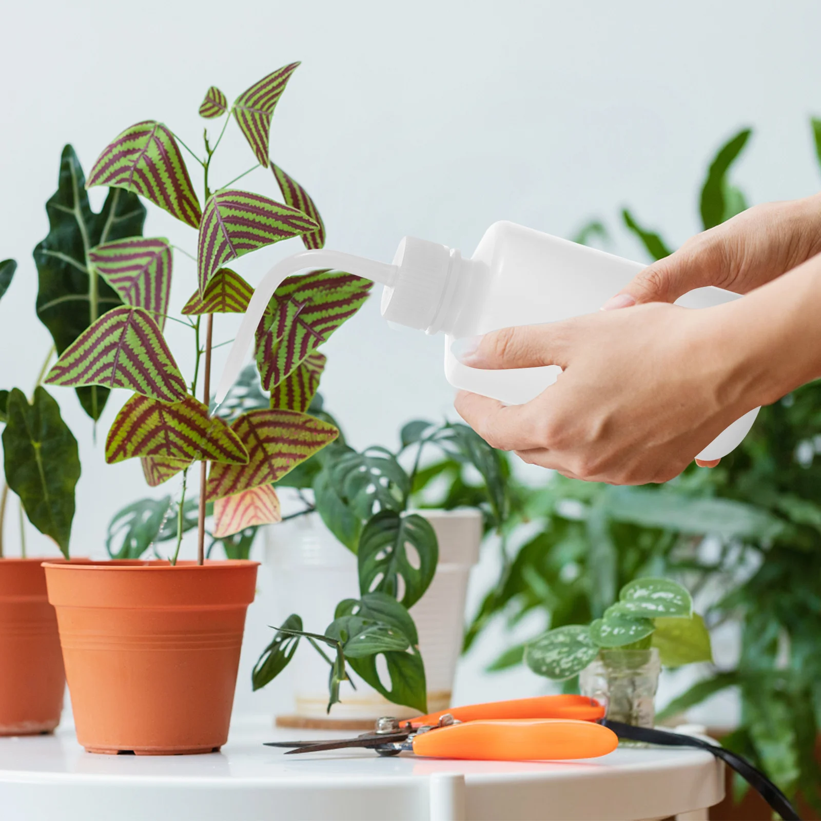 

4pcs Bend Mouth Squeeze Bottles Narrow Tip For Precise Watering Portable Plastic Wash Bottles Gardening Eyelash Cleaning Labware