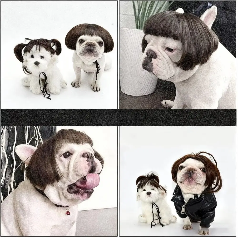 Funny Costume Fluffy Texture Pet Wig Afro Fringe Bangs Style Cat Wig Adjustable Fit Wavy Hair Bob Wig Costume Party