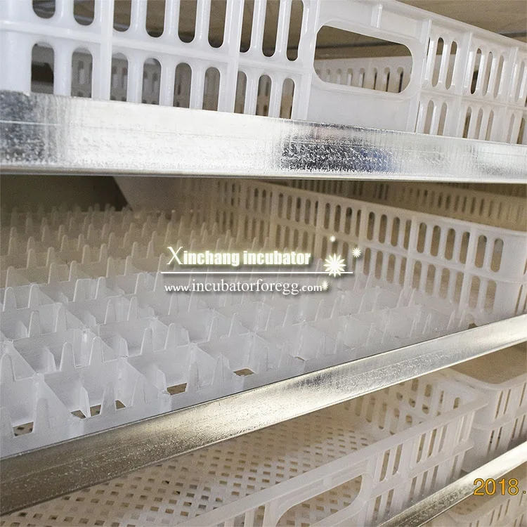 5000 Eggs   Machines for Small Business Farm Egg Tray Incubators Solar Full Automatic Chicken Egg Incubators for Sale Hatching view 4