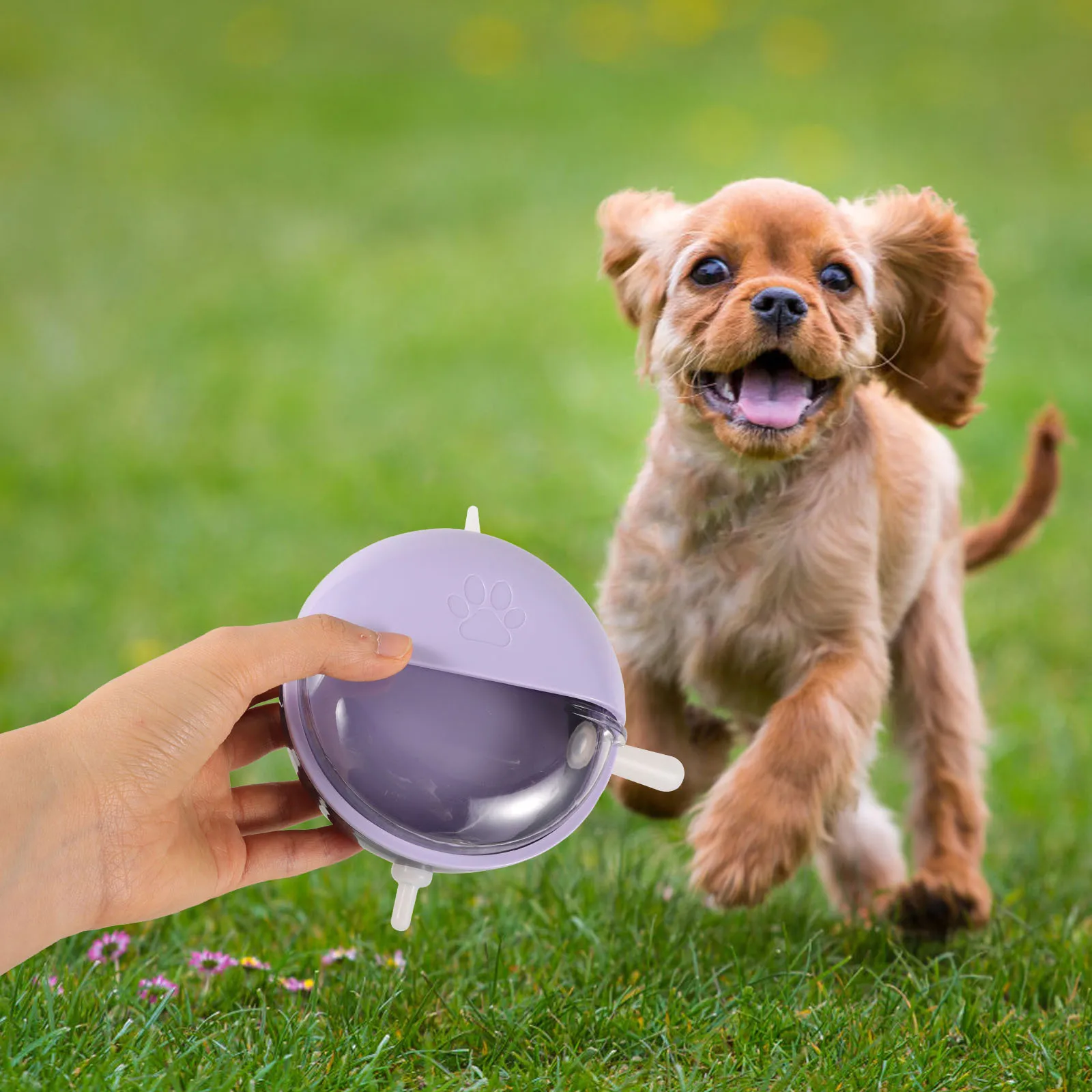 

Multi Pacifier Baby Pet Feeding Bowl Puppy Kitten Milk Feeder No Spill Puppy Feeder Bowl Durable Indoor Nursing Station