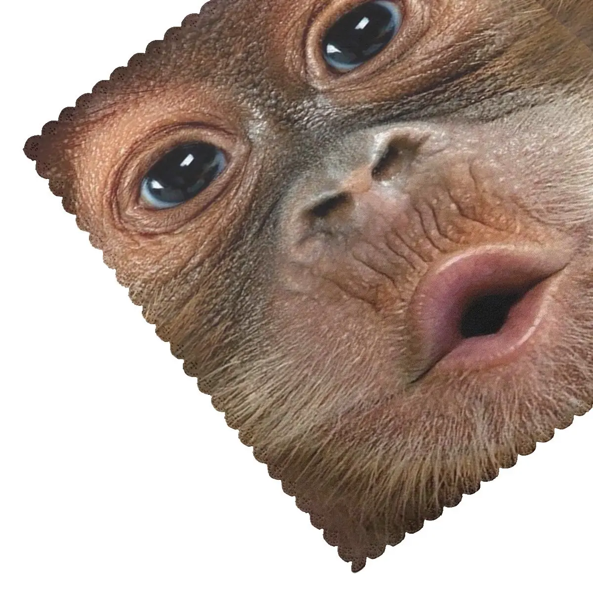 Big Face Baby Orangutan Monkey Placemat Washable Plate Mat for Dining Table Bowl Coaster Super Absorbent Mats