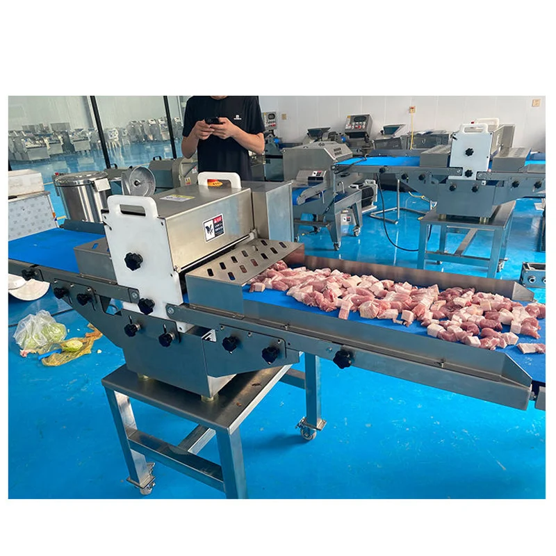 

Stainless Steel Raw Chicken Meat Cube Cutter Pork Skin Strip Cutting Machine Frozen Beef Poultry Meat Dicing Machine