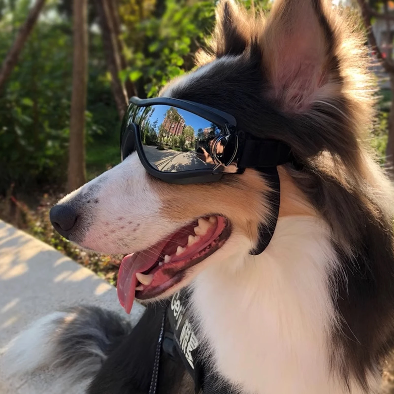 

Pet Goggles Glasses Sunglasses Dog Lens Water for Dogs Eyeglasses