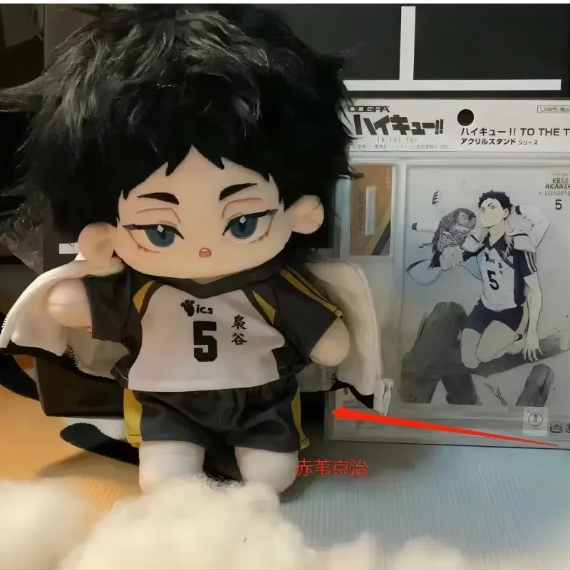 20cm farcito Anime Haikyuu carino Bokuto Koutarou Akaashi Keiji peluche burattino vestire bambole di cotone per bambini adulti