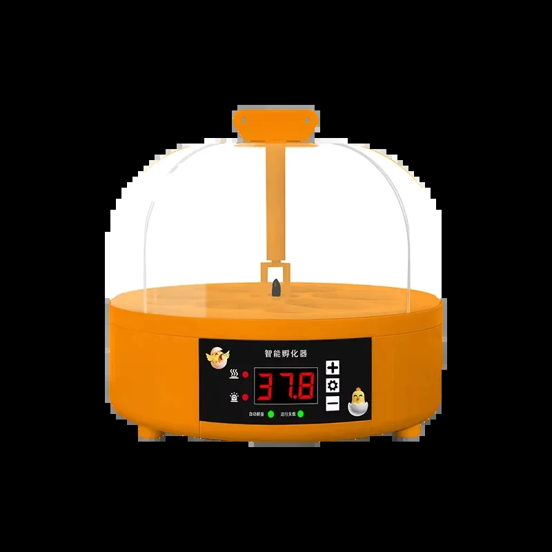 

Mini Automatic 6-Egg Incubator 98% Rate For Poultry Chicken Duck Goose Quail Hatching